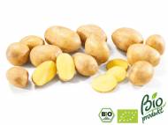 Bio-ziemniaki , cena 5,99 PLN za 1.5 kg, 1kg=3,99 PLN. 
- bez ...