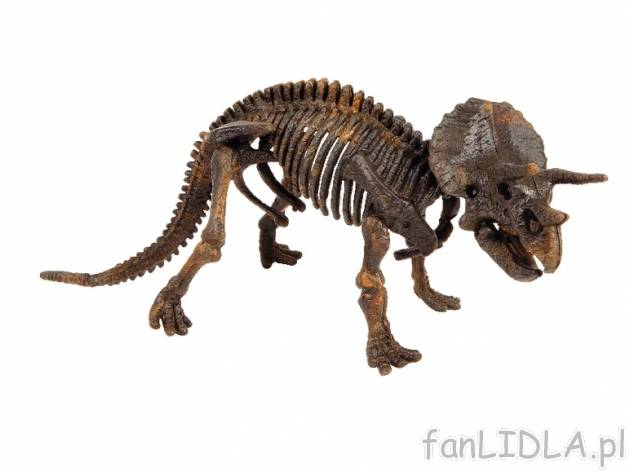 Model szkieletu dinozaura , cena 19,99 PLN za 1 szt. 
- zestaw do samodzielnego ...