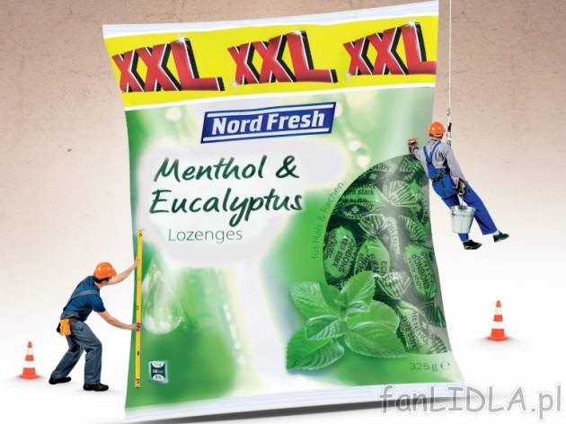 Cukierki eukaliptusowe-mentolowe , cena 3,99 PLN za 325g/1 opak., 1kg=12,28 PLN. ...