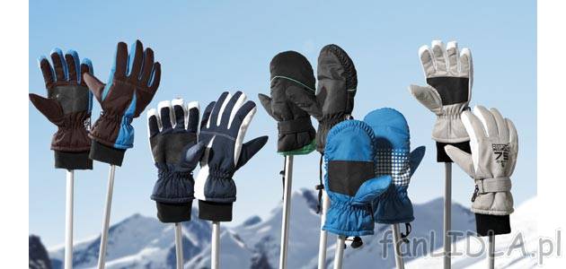 Dziecięce rękawice narciarskie Crivit Sports, cena 15,99 PLN za 1 para 
- wysokogatunkowe, ...