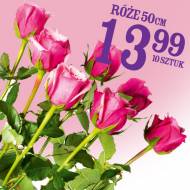 Róże , cena 13,99 PLN za 10 szt. 
-  Róże 
-  50 cm 
-  13.99