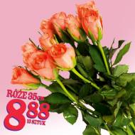 Róże , cena 8,88 PLN za 13 szt. 
- Róże 
- 35 cm 
- 8.88 ...