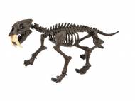 Model szkieletu dinozaura , cena 19,99 PLN za 1 szt. 
- zestaw ...