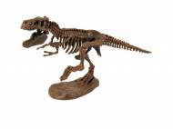 Model szkieletu dinozaura , cena 14,99 PLN za 1 szt. 
zestaw ...