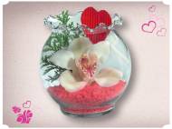 Orchidea w szklanej kuli , cena 9,99 PLN za 1 szt. 
- różne ...