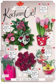 Duży wybór kwiatów: hiacynty, orchidea w szklanej kuli, różyczki ...