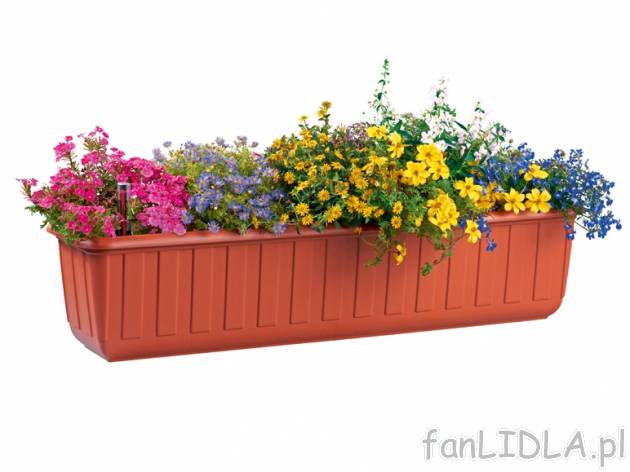 Skrzynia na kwiaty z systemem nawadniania Florabest, cena 19,99 PLN za 1 szt. 
- ...