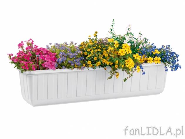 Skrzynia na kwiaty z systemem nawadniania Florabest, cena 22,99 PLN za 1 szt. 
- ...
