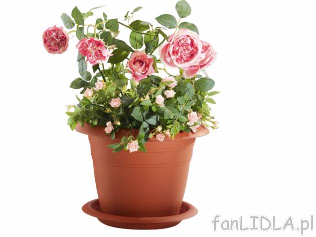 Doniczka Florabest, cena 14,99 PLN za 1 opak. 
- do wyboru: klasyczna, na kwiaty ...