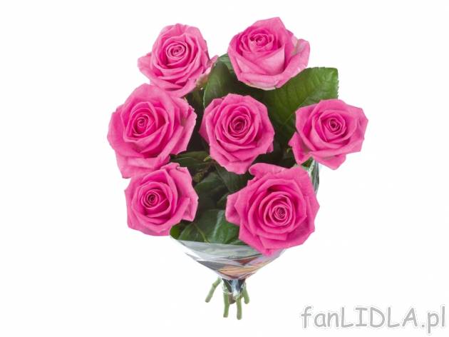 Bukiet róż premium 7 szt. , cena 19,99 PLN za 7 szt. 
- wys. min. 60 cm 
- dostępne ...