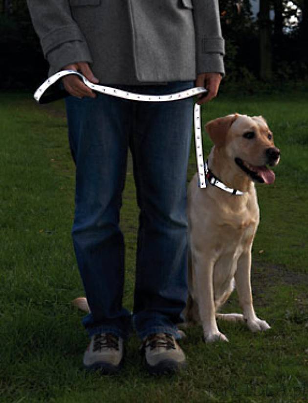 Smycz odblaskowa dla psa Zoofari w cenie 12 PLN. dł. 100 cm, szer. 1,5 lub 2 cm