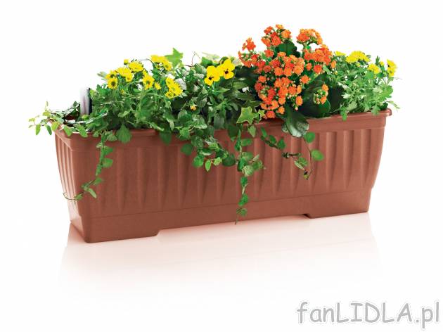Skrzynka na kwiaty z systemem nawadniania , cena 21,99 PLN. Zadbaj o swoje rosliny! ...