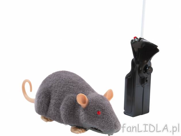 Zabawka zdalnie sterowana , cena 49,99 PLN 
- do wyboru szczur lub tarantula
- ...