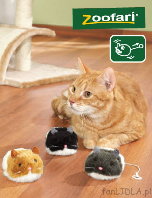 Komplet myszek dla zabawy cena 11,99PLN
- budzą u kota ciekawość i chęć do ...