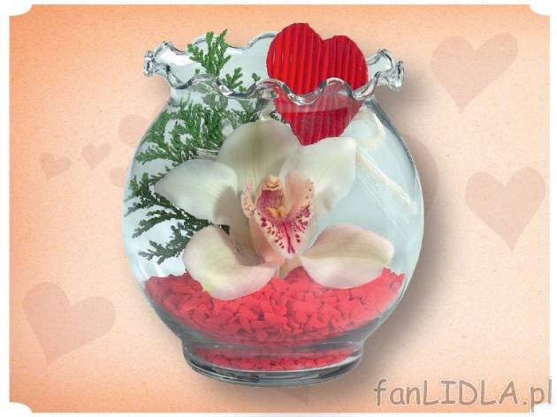 Orchidea w szklanej kuli , cena 8,99 PLN za 1 szt. 
- Oferta ważna od poniedziałku ...