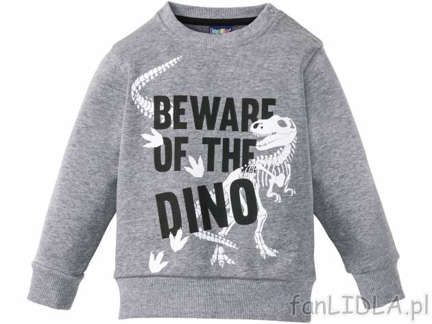 Bluza chłopięca z długimi rękawami i motywami dinozaurów, cena 19,99 PLN 
- ...