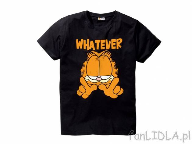 T-shirt Livergy, cena 21,99 PLN za 1 szt. 
- rozmiary: M-XXL (nie wszystkie wzory ...