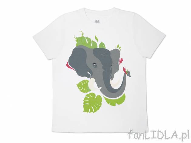 T-shirt dziecięcy z motywem słonia , cena 12,99 PLN 
- 100% bawełny
- rozmiary ...