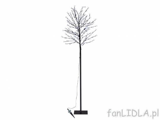 Drzewko LED , cena 99,00 PLN za 1 szt. Stwórz wyjątkowy klimat nie tylko w domu, ...