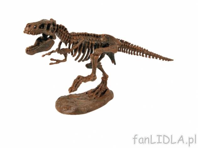 Model szkieletu dinozaura , cena 14,99 PLN za 1 szt. 
zestaw do samodzielnego złożenia
 ...