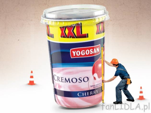 Jogurt Cremoso , cena 3,49 PLN za 495 g, 1kg=7,05 PLN.  
-  Różne rodzaje