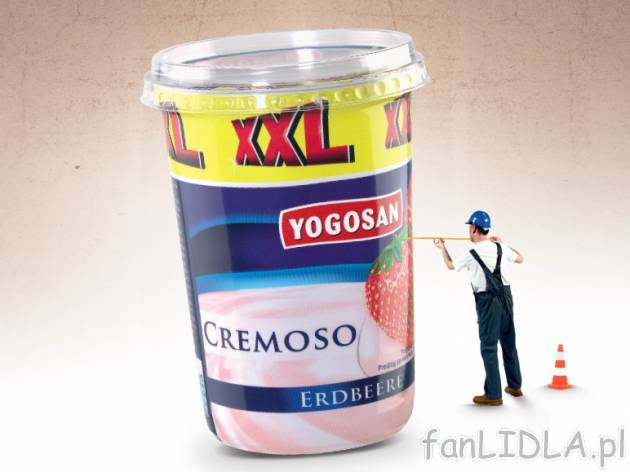 Jogurt Cremoso XXL , cena 3,49 PLN za 495 g/1 opak., 1kg=7,05 PLN.  
-  Różne rodzaje