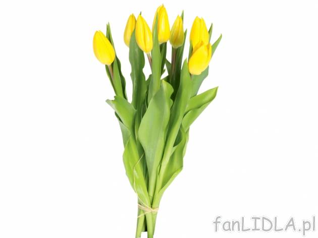 Tulipany 7 szt. , cena 7,99 PLN za 7 szt. 
-  7 szt. w bukiecie
-  wysokość 35 cm