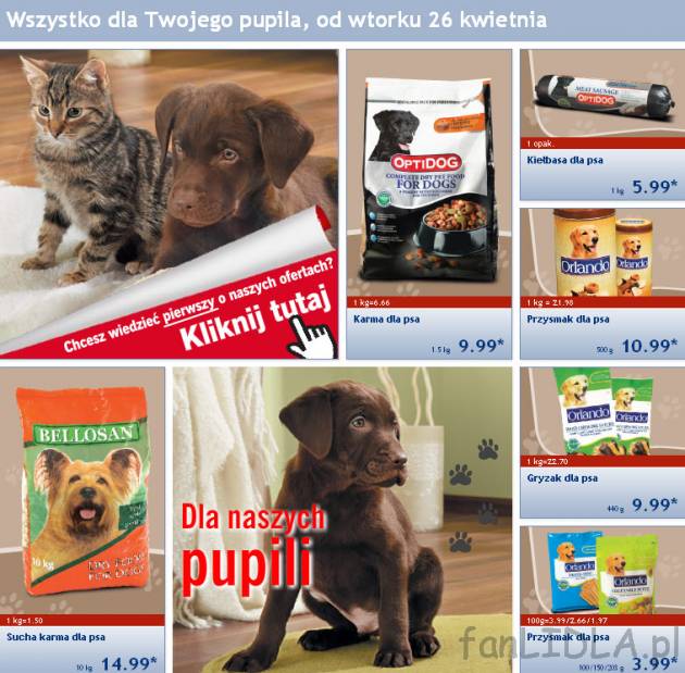 Wszystko dla Twojego pupila od wtorku 26 kwietnia 2011 - Akcesoria dla psa, kota, ...