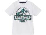 49535,T-shirt,chlopiecy