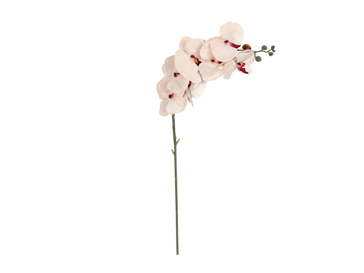 Pojedynczy kwiat , cena 9,99 PLN  
Pojedynczy kwiat  różne wzory  
-  dł. 55-100 cm