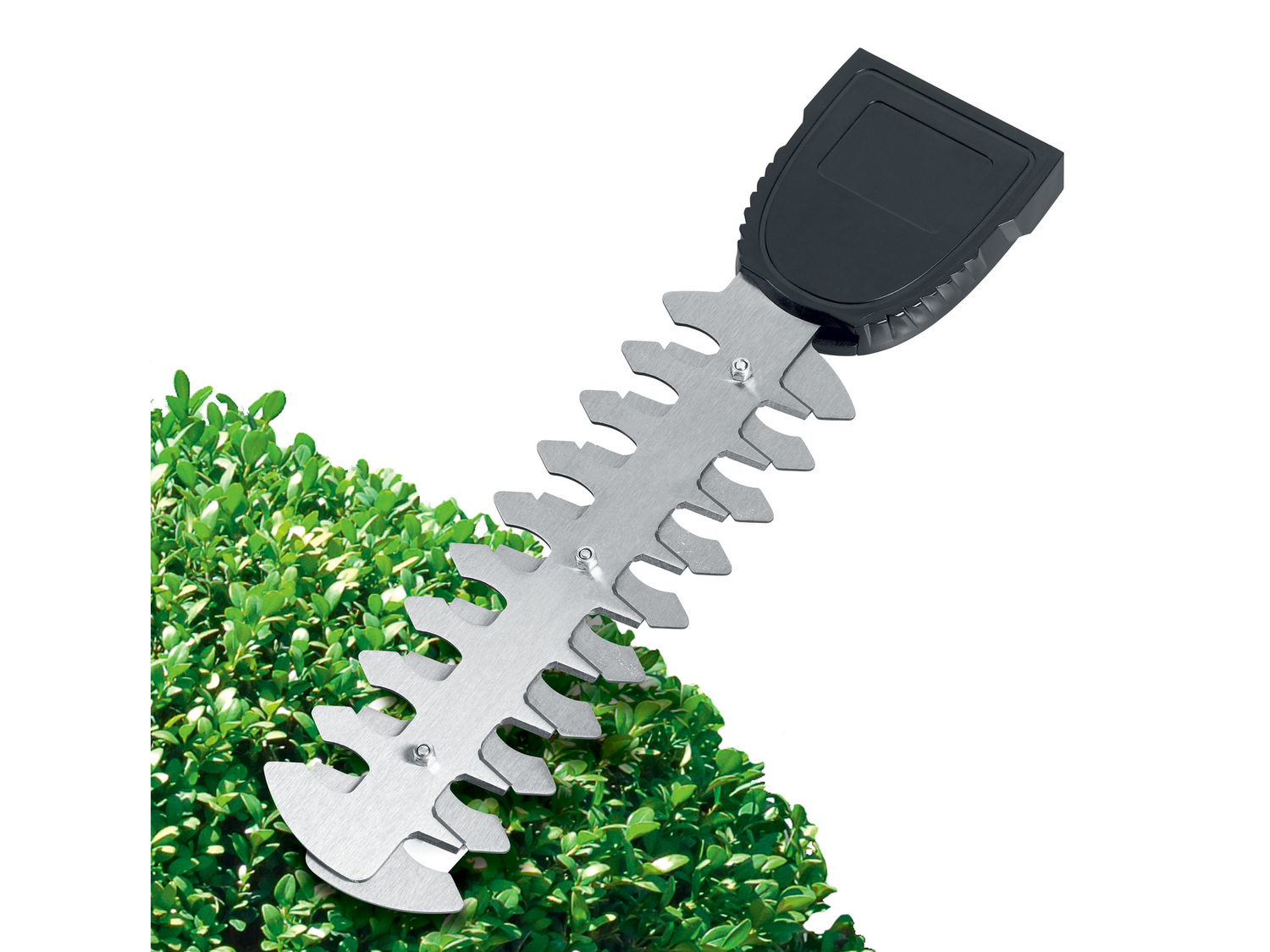 Akumulatorowe nożyce do trawy i krzewów 12 V Parkside, X12VTeam, cena 139,00 PLN ...