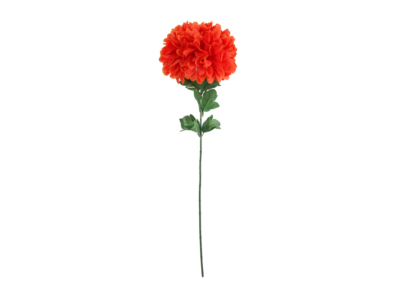 Pojedynczy kwiat , cena 7,99 PLN  
Pojedynczy kwiat  różne wzory  
-  dł. 55-100 cm