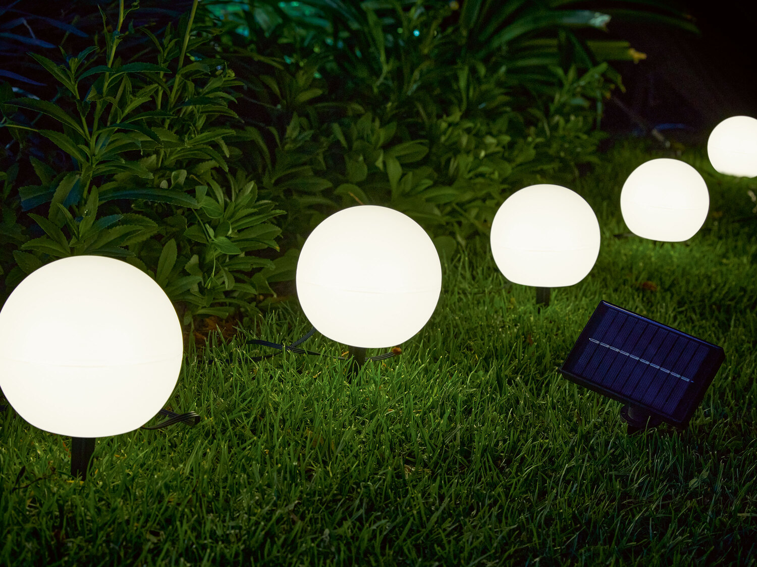 Solarne lampy ogrodowe LED Livarno, cena 49,99 PLN 
- 5 diod LED z 3 trybami świecenia: ...
